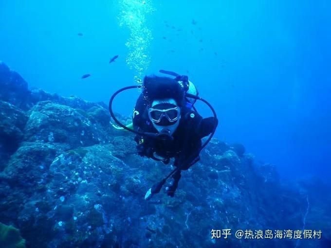 记者大逃脱